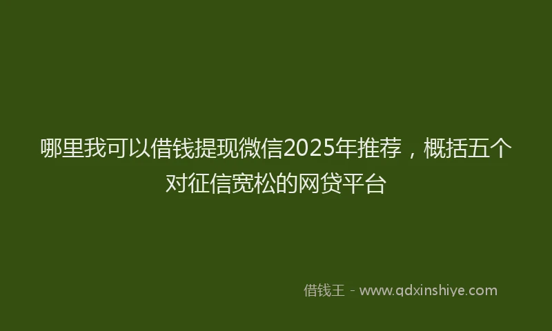 哪里我可以借钱提现微信2025年推荐，概括五个对征信宽松的网贷平台