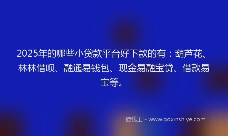2025年的哪些小贷款平台好下款的有：葫芦花、林林借呗、融通易钱包、现金易融宝贷、借款易宝等。