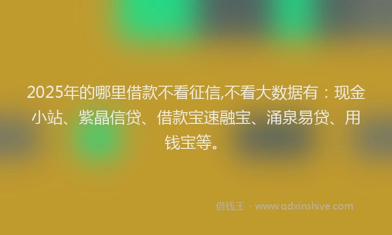 2025年的哪里借款不看征信,不看大数据有：现金小站、紫晶信贷、借款宝速融宝、涌泉易贷、用钱宝等。