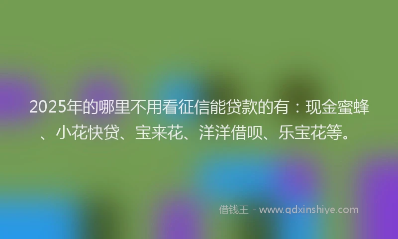 2025年的哪里不用看征信能贷款的有：现金蜜蜂、小花快贷、宝来花、洋洋借呗、乐宝花等。