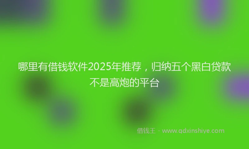 哪里有借钱软件2025年推荐，归纳五个黑白贷款不是高炮的平台