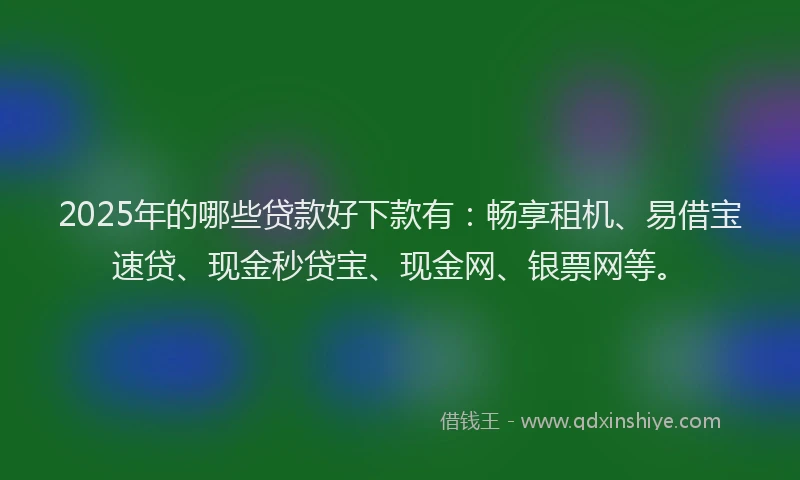 2025年的哪些贷款好下款有：畅享租机、易借宝速贷、现金秒贷宝、现金网、银票网等。