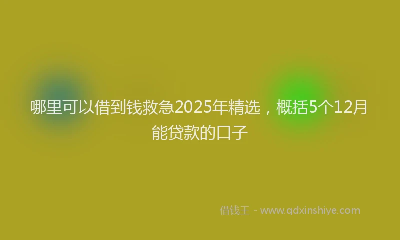 哪里可以借到钱救急2025年精选，概括5个12月能贷款的口子