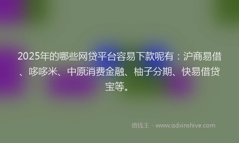 2025年的哪些网贷平台容易下款呢有：沪商易借、哆哆米、中原消费金融、柚子分期、快易借贷宝等。
