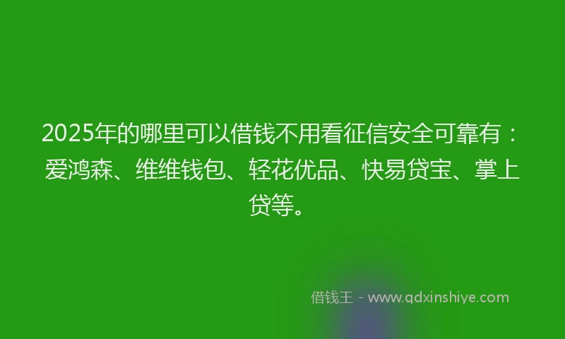 2025年的哪里可以借钱不用看征信安全可靠有：爱鸿森、维维钱包、轻花优品、快易贷宝、掌上贷等。