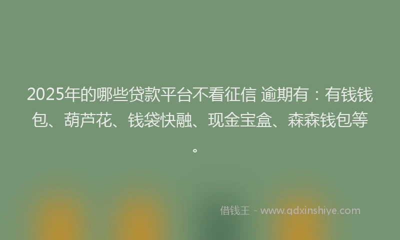 2025年的哪些贷款平台不看征信 逾期有：有钱钱包、葫芦花、钱袋快融、现金宝盒、森森钱包等。
