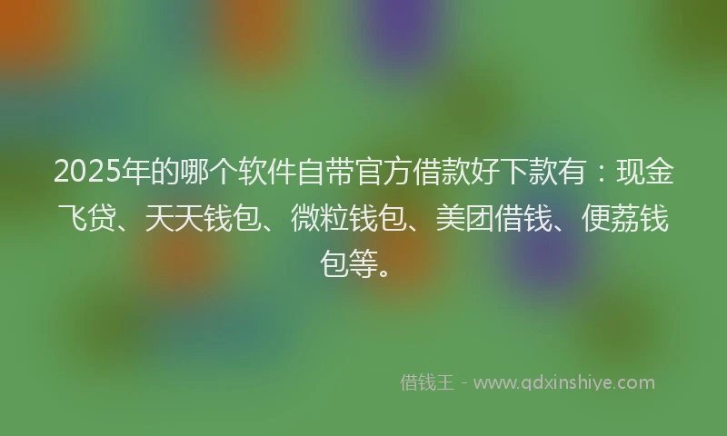 2025年的哪个软件自带官方借款好下款有：现金飞贷、天天钱包、微粒钱包、美团借钱、便荔钱包等。