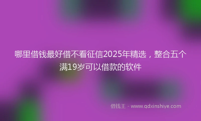 哪里借钱最好借不看征信2025年精选，整合五个满19岁可以借款的软件