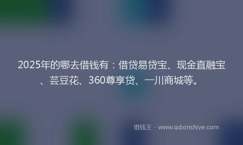2025年的哪去借钱有：借贷易贷宝、现金直融宝、芸豆花、360尊享贷、一川商城等。
