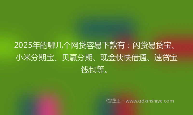 2025年的哪几个网贷容易下款有：闪贷易贷宝、小米分期宝、贝赢分期、现金侠快借通、速贷宝钱包等。