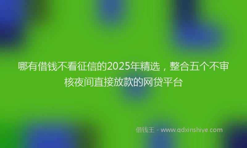 哪有借钱不看征信的2025年精选，整合五个不审核夜间直接放款的网贷平台