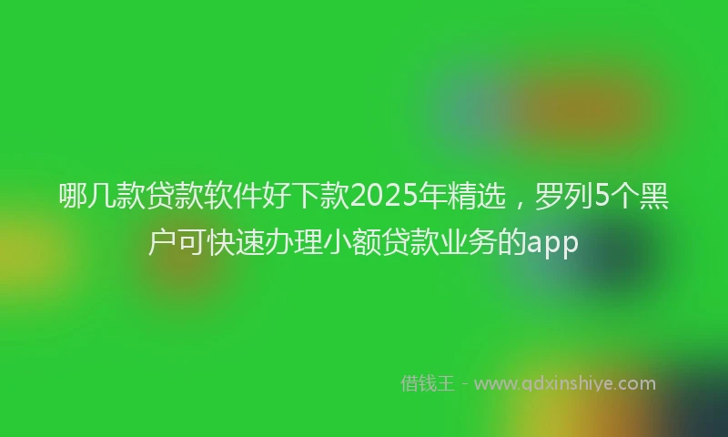 哪几款贷款软件好下款2025年精选，罗列5个黑户可快速办理小额贷款业务的app