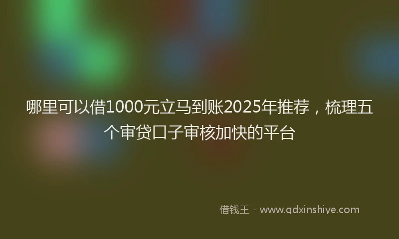 哪里可以借1000元立马到账2025年推荐，梳理五个审贷口子审核加快的平台