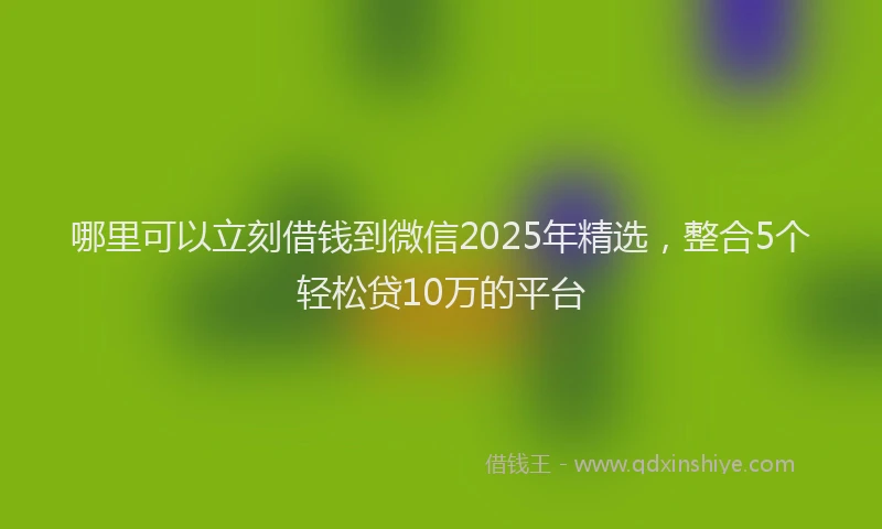 哪里可以立刻借钱到微信2025年精选,整合5个轻松贷10万的平台