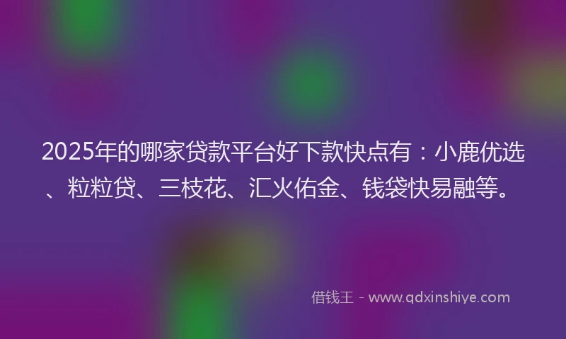 2025年的哪家贷款平台好下款快点有：小鹿优选、粒粒贷、三枝花、汇火佑金、钱袋快易融等。