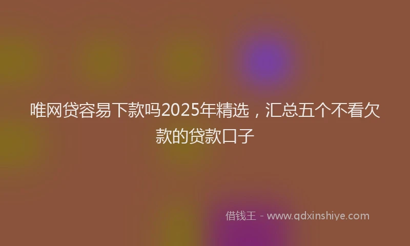 唯网贷容易下款吗2025年精选，汇总五个不看欠款的贷款口子