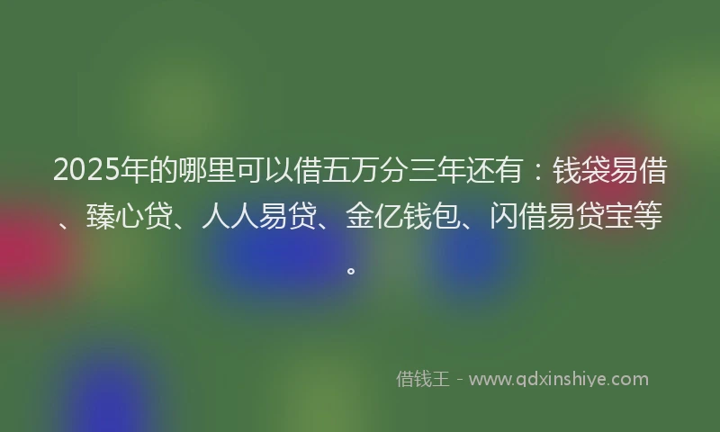 2025年的哪里可以借五万分三年还有:钱袋易借、臻心贷、人人易贷、金亿钱包、闪借易贷宝等。