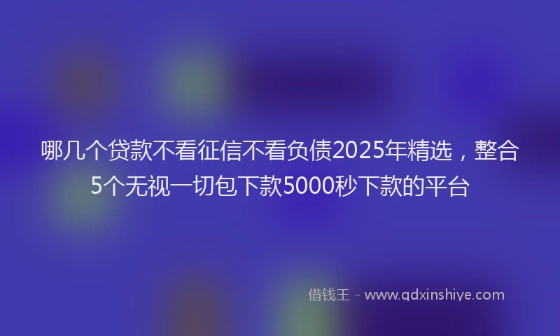 哪几个贷款不看征信不看负债2025年精选,整合5个无视一切包下款5000秒下款的平台
