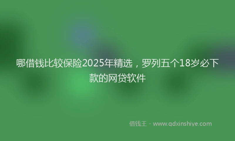 哪借钱比较保险2025年精选，罗列五个18岁必下款的网贷软件
