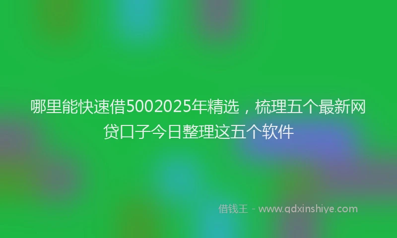 哪里能快速借5002025年精选，梳理五个最新网贷口子今日整理这五个软件