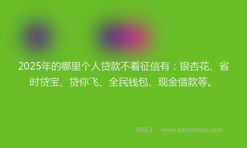2025年的哪里个人贷款不看征信有：银杏花、省时贷宝、贷你飞、全民钱包、现金借款等。