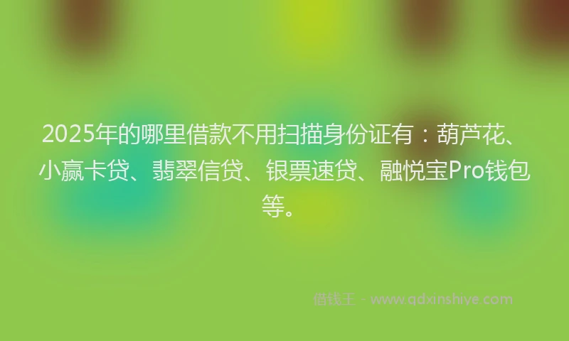2025年的哪里借款不用扫描身份证有：葫芦花、小赢卡贷、翡翠信贷、银票速贷、融悦宝Pro钱包等。