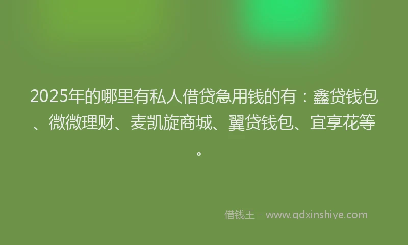 2025年的哪里有私人借贷急用钱的有:鑫贷钱包、微微理财、麦凯旋商城、翼贷钱包、宜享花等。