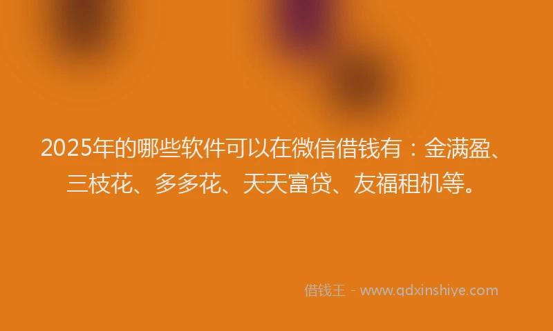 2025年的哪些软件可以在微信借钱有：金满盈、三枝花、多多花、天天富贷、友福租机等。