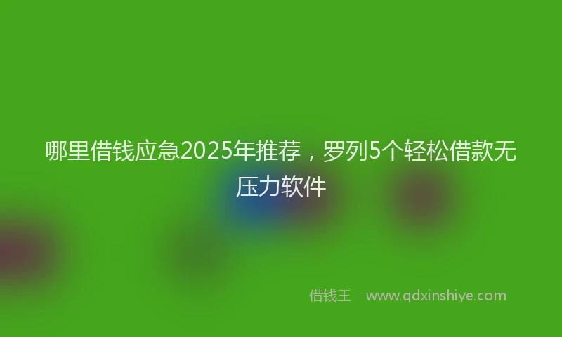 哪里借钱应急2025年推荐，罗列5个轻松借款无压力软件