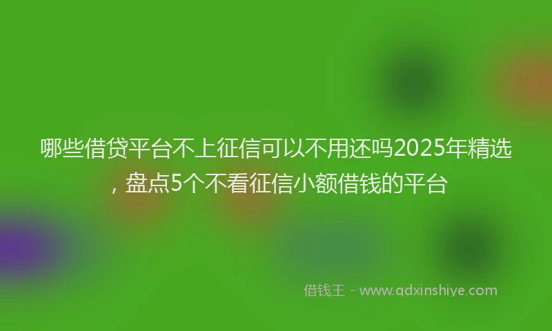 哪些借贷平台不上征信可以不用还吗2025年精选，盘点5个不看征信小额借钱的平台
