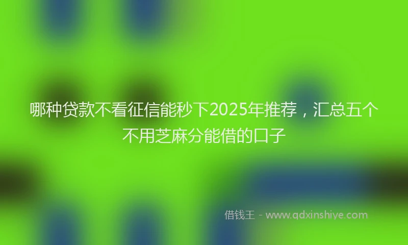 哪种贷款不看征信能秒下2025年推荐，汇总五个不用芝麻分能借的口子