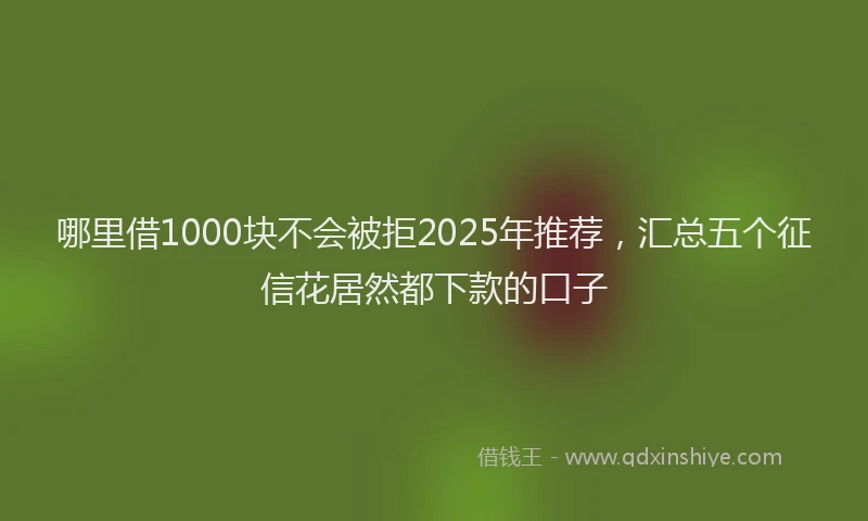 哪里借1000块不会被拒2025年推荐，汇总五个征信花居然都下款的口子
