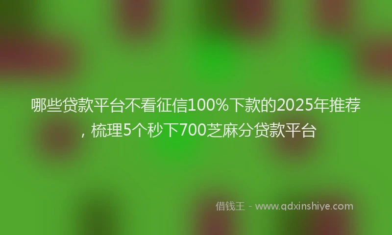 哪些贷款平台不看征信100%下款的2025年推荐，梳理5个秒下700芝麻分贷款平台