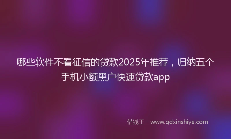 哪些软件不看征信的贷款2025年推荐，归纳五个手机小额黑户快速贷款app