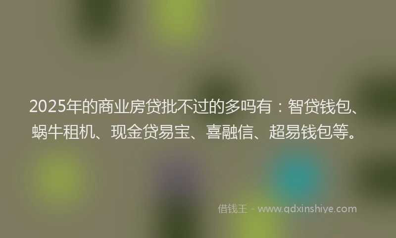 2025年的商业房贷批不过的多吗有：智贷钱包、蜗牛租机、现金贷易宝、喜融信、超易钱包等。