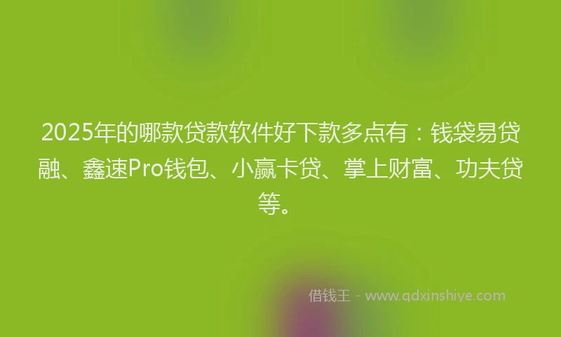 2025年的哪款贷款软件好下款多点有：钱袋易贷融、鑫速Pro钱包、小赢卡贷、掌上财富、功夫贷等。