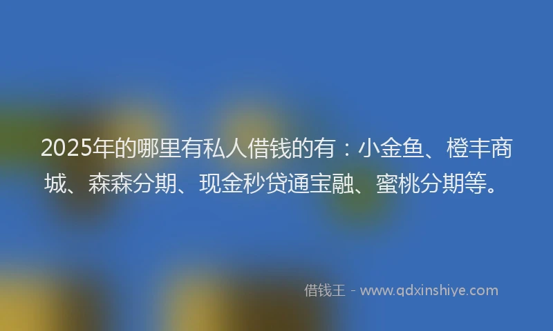 2025年的哪里有私人借钱的有:小金鱼、橙丰商城、森森分期、现金秒贷通宝融、蜜桃分期等。