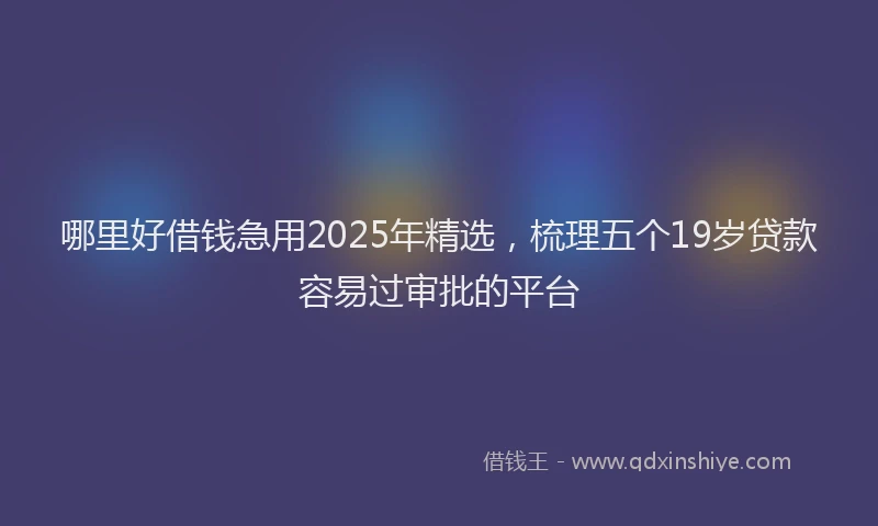 哪里好借钱急用2025年精选，梳理五个19岁贷款容易过审批的平台