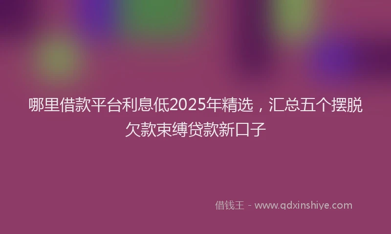 哪里借款平台利息低2025年精选，汇总五个摆脱欠款束缚贷款新口子