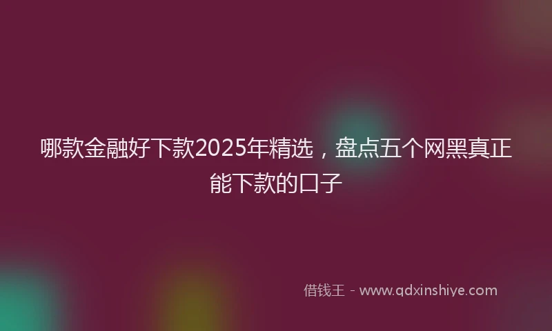 哪款金融好下款2025年精选，盘点五个网黑真正能下款的口子
