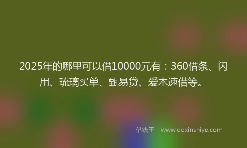 2025年的哪里可以借10000元有：360借条、闪用、琉璃买单、甄易贷、爱木速借等。
