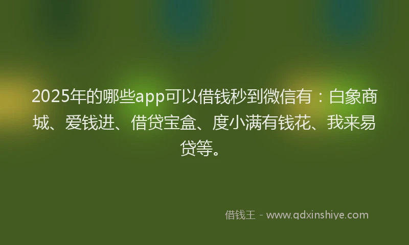 2025年的哪些app可以借钱秒到微信有：白象商城、爱钱进、借贷宝盒、度小满有钱花、我来易贷等。