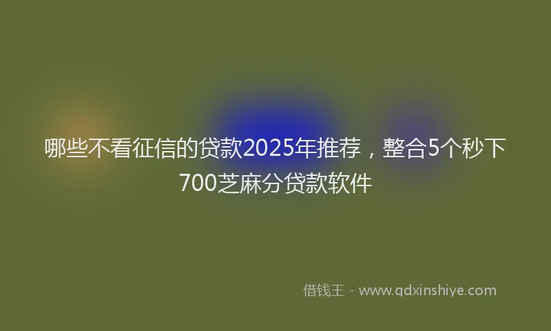 哪些不看征信的贷款2025年推荐，整合5个秒下700芝麻分贷款软件