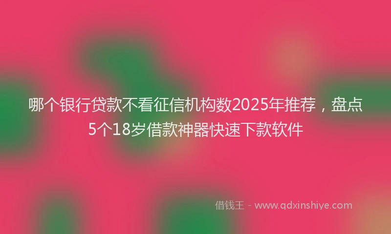 哪个银行贷款不看征信机构数2025年推荐，盘点5个18岁借款神器快速下款软件