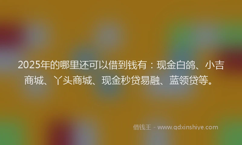 2025年的哪里还可以借到钱有：现金白鸽、小吉商城、丫头商城、现金秒贷易融、蓝领贷等。