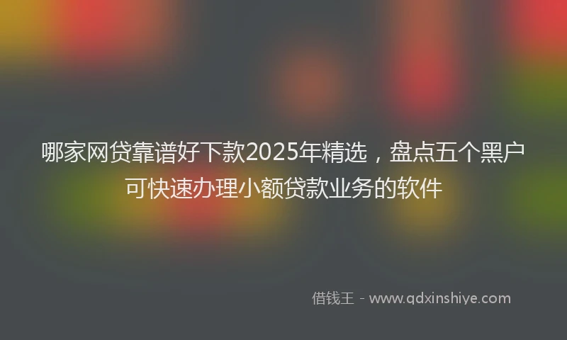 哪家网贷靠谱好下款2025年精选，盘点五个黑户可快速办理小额贷款业务的软件