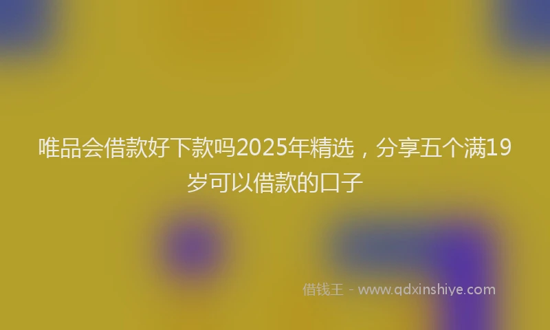 唯品会借款好下款吗2025年精选，分享五个满19岁可以借款的口子