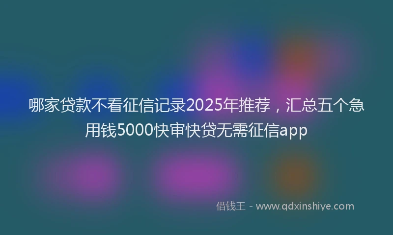 哪家贷款不看征信记录2025年推荐，汇总五个急用钱5000快审快贷无需征信app