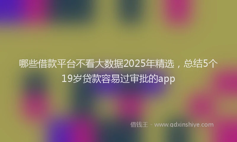 哪些借款平台不看大数据2025年精选，总结5个19岁贷款容易过审批的app