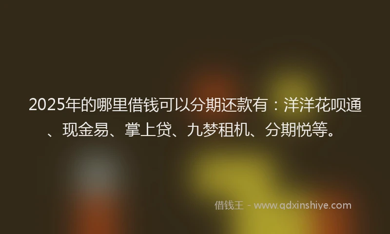2025年的哪里借钱可以分期还款有：洋洋花呗通、现金易、掌上贷、九梦租机、分期悦等。